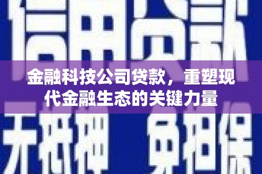 巩留金融科技公司贷款，重塑现代金融生态的关键力量