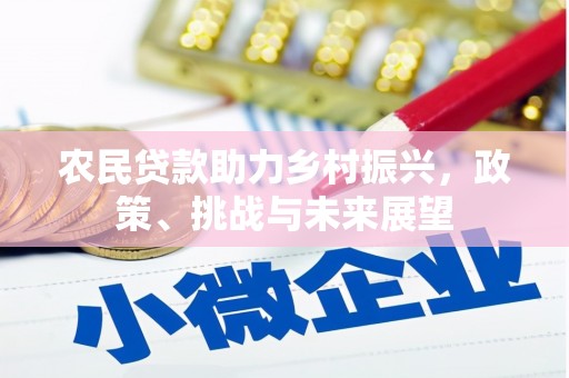 巩留农民贷款助力乡村振兴，政策、挑战与未来展望