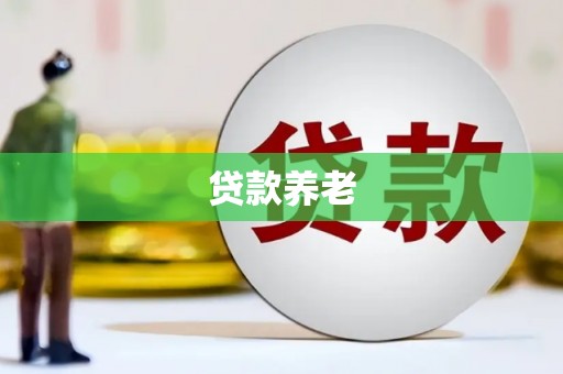 巩留贷款养老