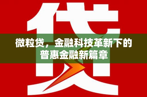 巩留微粒贷，金融科技革新下的普惠金融新篇章