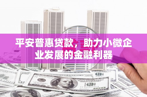巩留平安普惠贷款，助力小微企业发展的金融利器