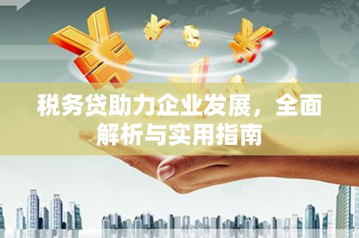 巩留税务贷助力企业发展，全面解析与实用指南