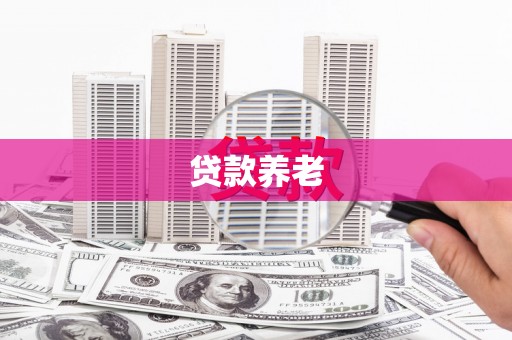 巩留贷款养老