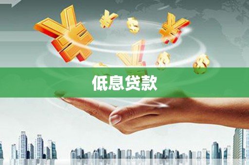 巩留低息贷款
