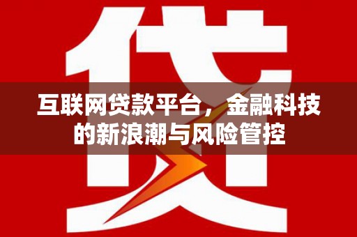 巩留互联网贷款平台，金融科技的新浪潮与风险管控