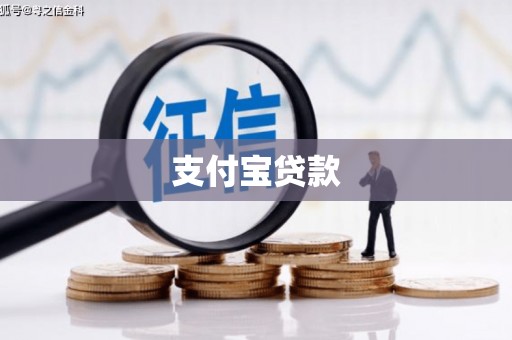 巩留支付宝贷款