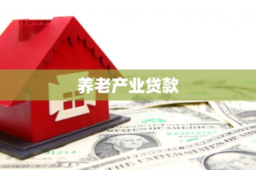 巩留养老产业贷款