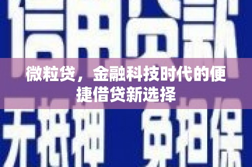 巩留微粒贷，金融科技时代的便捷借贷新选择