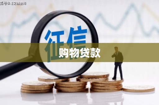 巩留购物贷款
