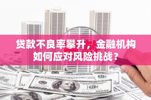 巩留贷款不良率攀升，金融机构如何应对风险挑战？