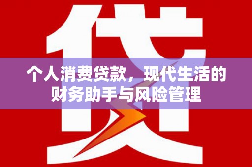 巩留个人消费贷款，现代生活的财务助手与风险管理