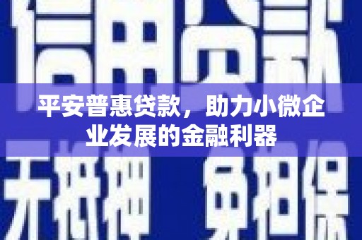 巩留平安普惠贷款，助力小微企业发展的金融利器