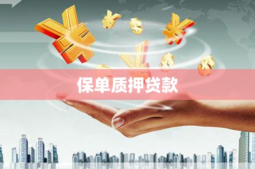 巩留保单质押贷款