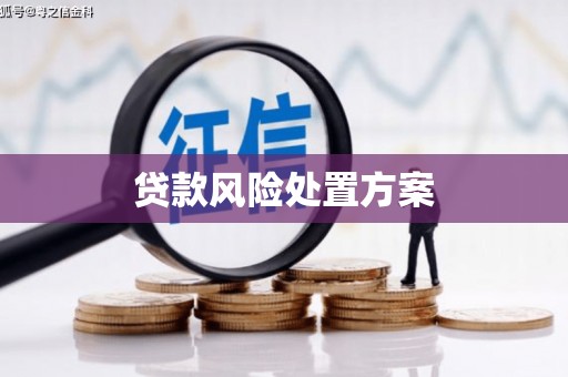 巩留贷款风险处置方案