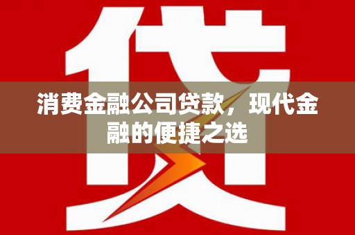 巩留消费金融公司贷款，现代金融的便捷之选
