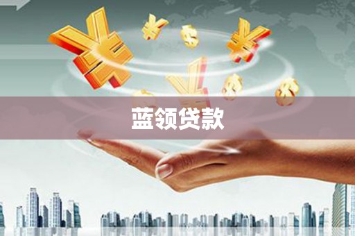巩留蓝领贷款