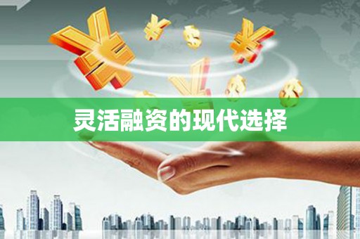 巩留灵活融资的现代选择