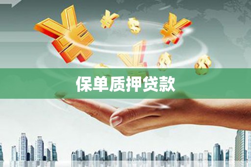 巩留保单质押贷款