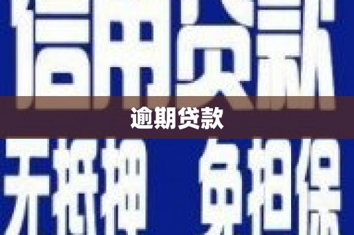 巩留逾期贷款