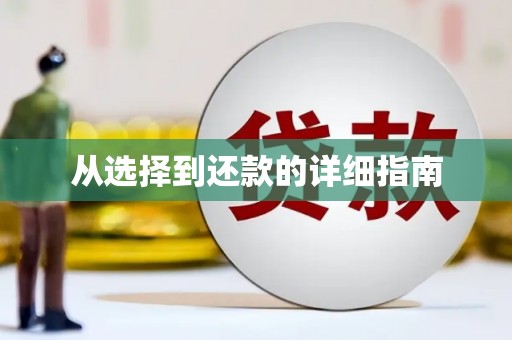 巩留从选择到还款的详细指南