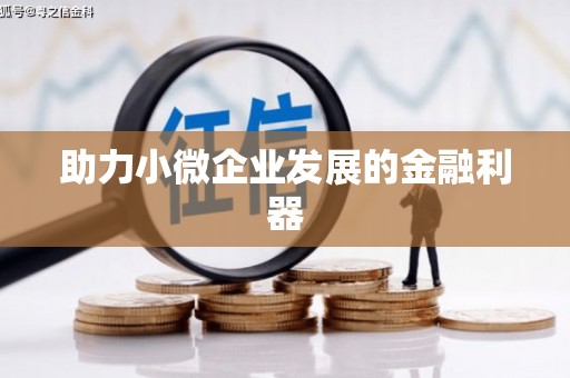 巩留助力小微企业发展的金融利器