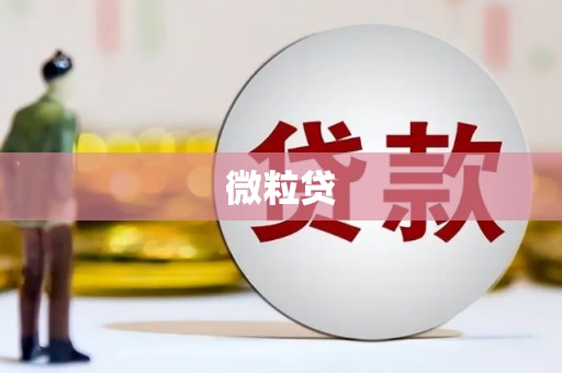 巩留微粒贷