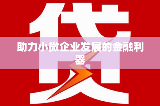 巩留助力小微企业发展的金融利器
