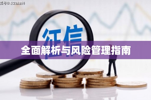 巩留全面解析与风险管理指南