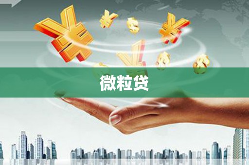 巩留微粒贷