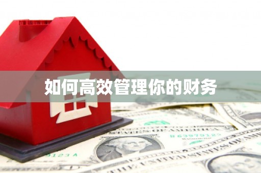 巩留如何高效管理你的财务