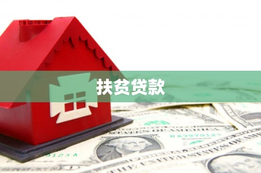 巩留扶贫贷款