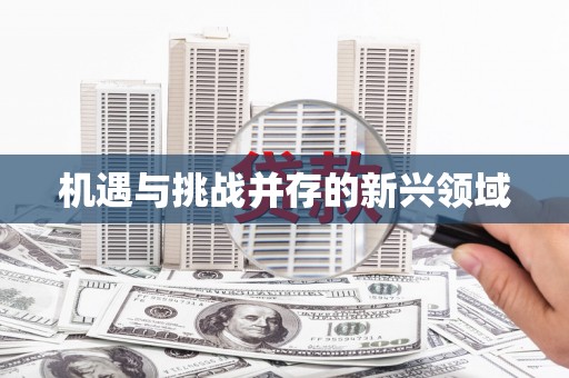 巩留机遇与挑战并存的新兴领域