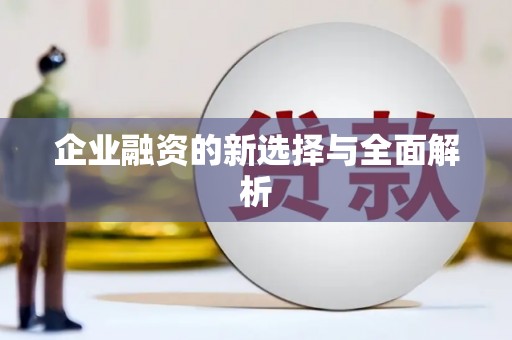 巩留企业融资的新选择与全面解析