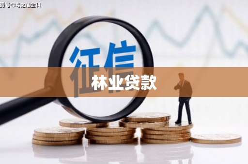 巩留林业贷款
