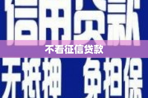 巩留不看征信贷款