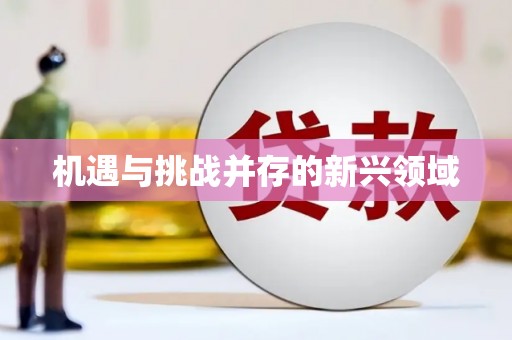 巩留机遇与挑战并存的新兴领域