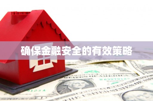 巩留确保金融安全的有效策略
