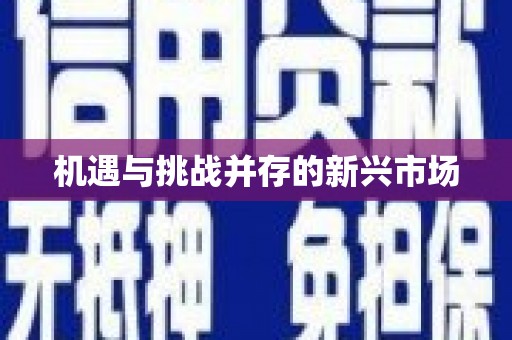 巩留机遇与挑战并存的新兴市场