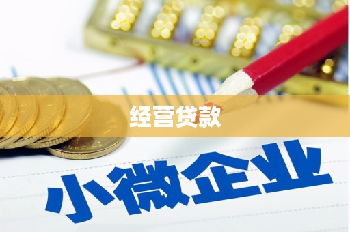 巩留经营贷款