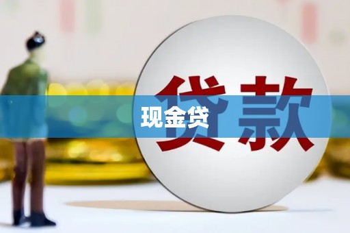 巩留现金贷