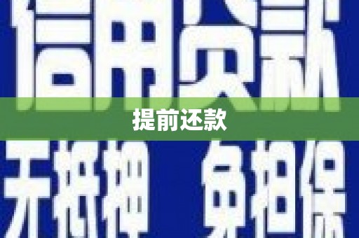巩留提前还款