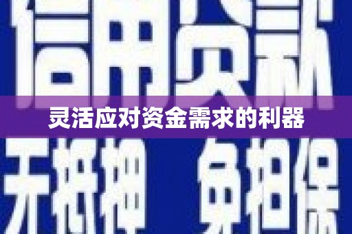巩留灵活应对资金需求的利器