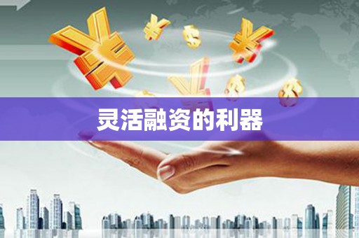 巩留灵活融资的利器