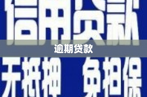巩留逾期贷款