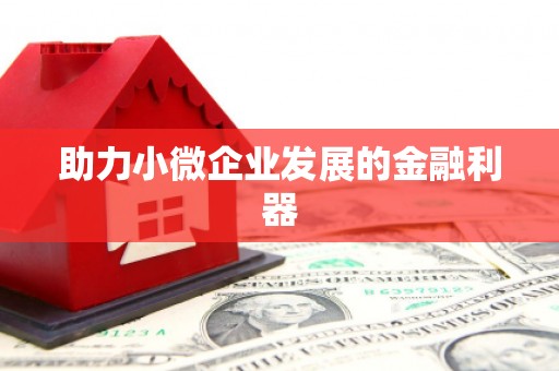 巩留助力小微企业发展的金融利器