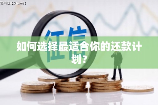 巩留如何选择最适合你的还款计划？