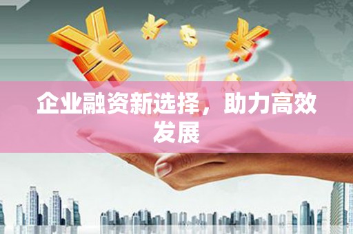 巩留企业融资新选择，助力高效发展