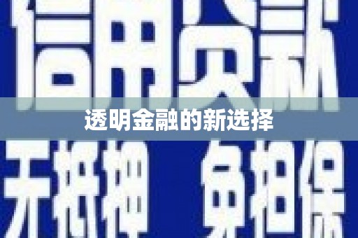 巩留透明金融的新选择