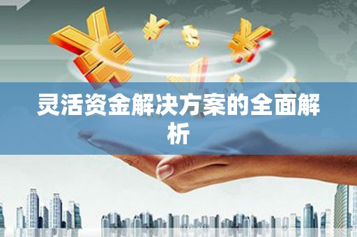 巩留灵活资金解决方案的全面解析