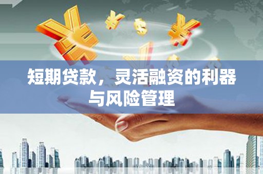 巩留短期贷款，灵活融资的利器与风险管理